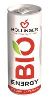 NAPÓJ ENERGETYZUJĄCY O SMAKU JABŁKO - JEŻYNA BIO 250 ml - HOLLINGER