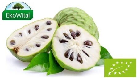 Cherimoya BIO IMPORT 1 szt