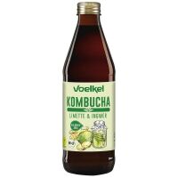Kombucha limonka-imbir BIO 330 ml