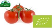Pomidor na gałązce BIO IMPORT 1 kg