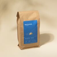 Kawa Ziarnista Nicaragua Catuai 1 kg - Pacama Coffee