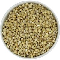 SORGO BIAŁE OBŁUSZCZONE BIO (SUROWIEC) (25 kg)