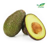 OPAKOWANIE ZBIORCZE (szt.) - AWOKADO ŚWIEŻE BIO (około 40 szt.) / około 6 kg