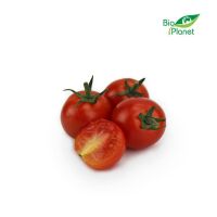 POMIDORY CHERRY ŚWIEŻE BIO (POLSKA) (około 0,25 kg)