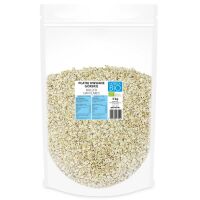 PŁATKI OWSIANE GÓRSKIE BIO 3 kg - HORECA (BIO PLANET)