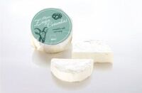 KOZI SER CAMEMBERT BIO 100 g - OMA