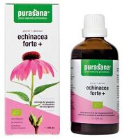 JEŻÓWKA PURPUROWA (ECHINACEA FORTE) KROPLE BIO 100 ml - PURASANA