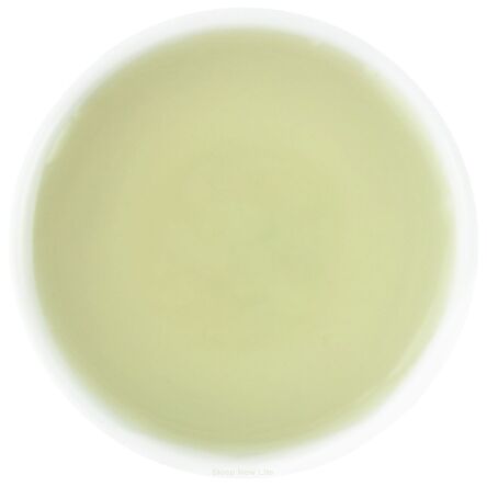 OCET JABŁKOWY 5 % NIEFILTROWANY BIO 5 L - HORECA (BIO PLANET)