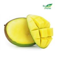 OPAKOWANIE ZBIORCZE (szt) - MANGO ŚWIEŻE BIO (około 10 sztuk)