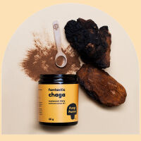 Fantastic Chaga ekstrakt 10:1 DER (drug extract ratio) sproszkowany grzyb 60g Fungi Farma