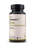 Kelp północnoatlantycki 260 mg 120 kaps | Classic Pharmovit